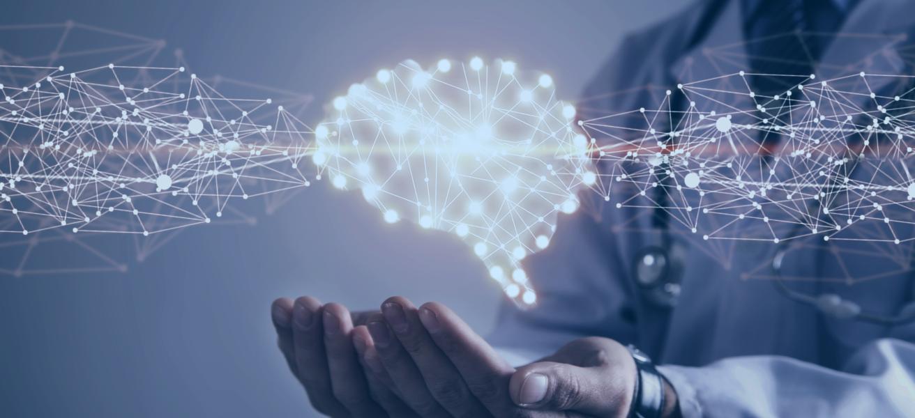 4 Pillars of successful training - The brain