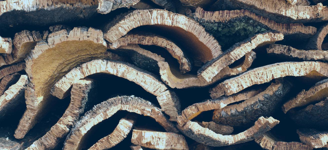 Inovar com Sustentabilidade: Caso de sucesso Corticeira Amorim